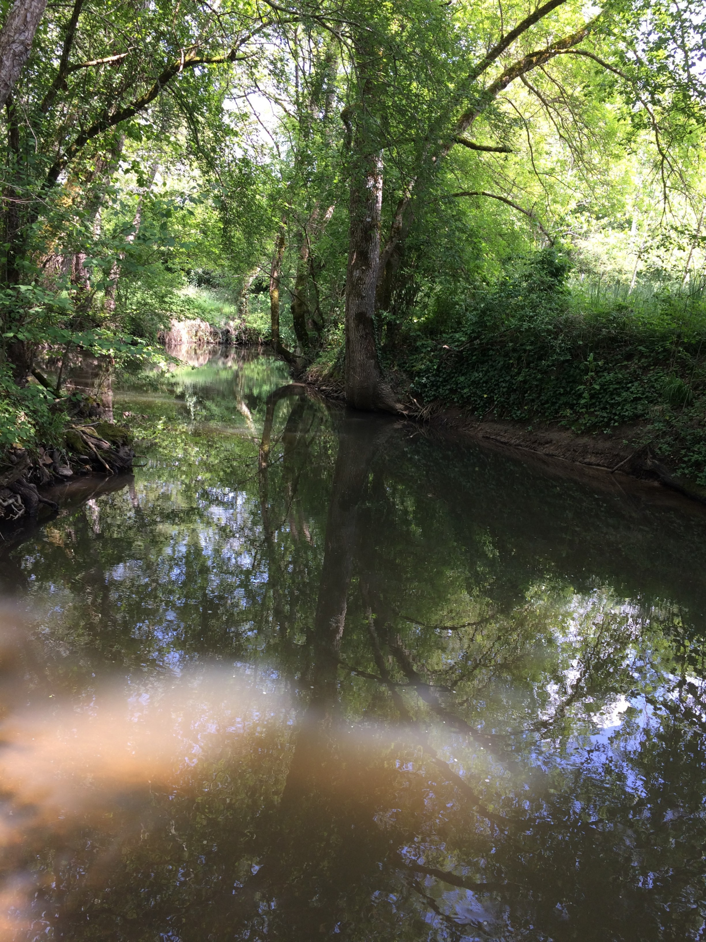 Terrain De Loisir à Vendre Bord De Rivière vente TERRAIN DE LOISIRS EN BORD DE RIVIERE | FCI Immobilier