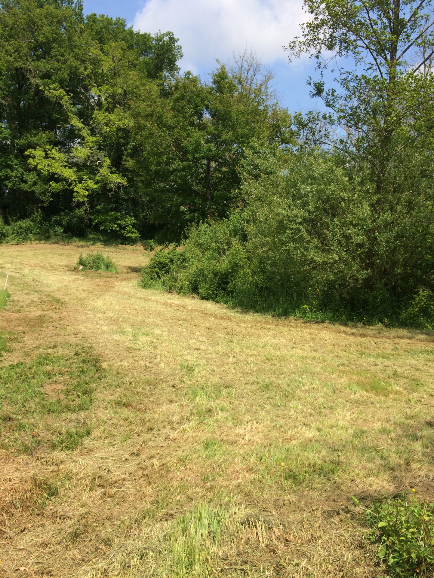 Terrain De Loisir à Vendre Bord De Rivière vente TERRAIN DE LOISIRS EN BORD DE RIVIERE | FCI Immobilier