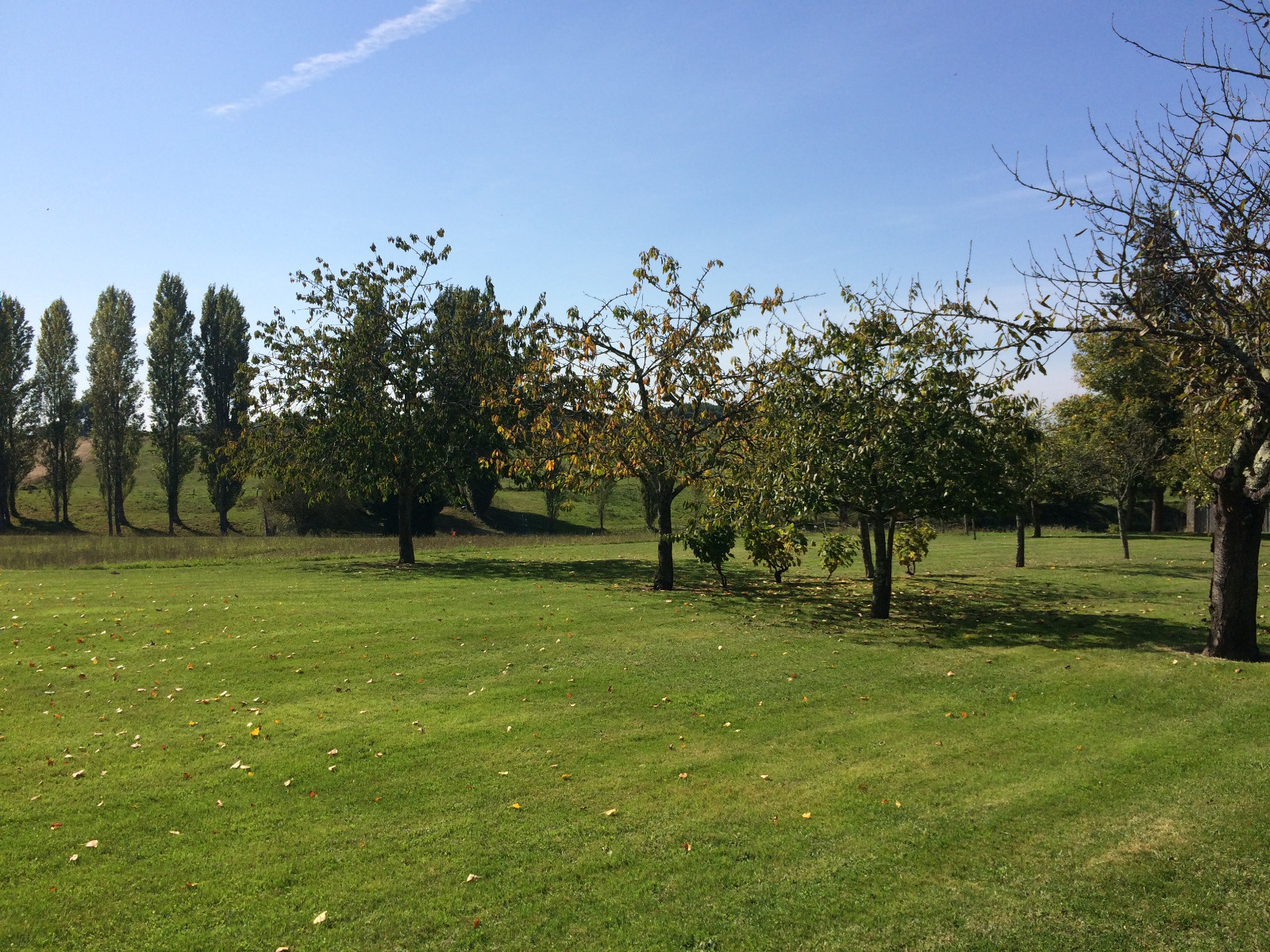 vente PROPRIETE SUR PLUS D'UN HECTARE FCI Immobilier vente PROPRIETE SUR PLUS D'UN HECTARE FCI Immobilier